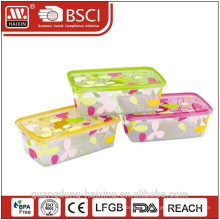 Rectangle Food Container en plastique/Haixing plastique